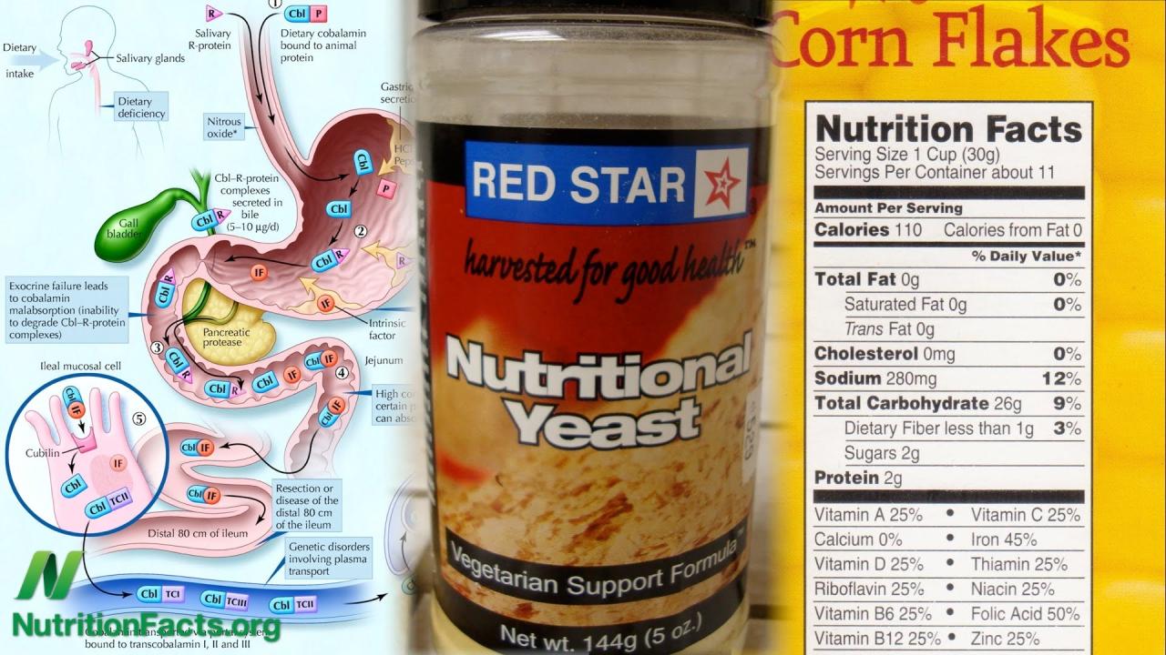 Vitamin B12 - An Overview