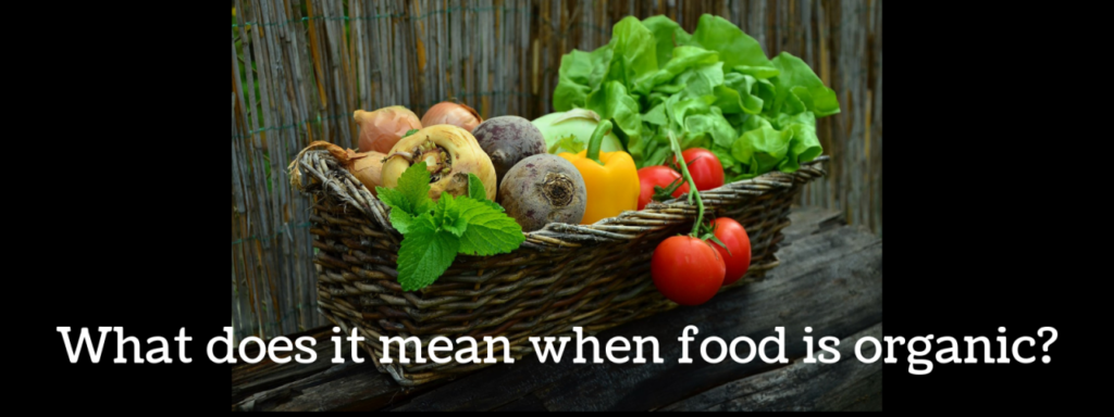 Organic Daily Multivitamin