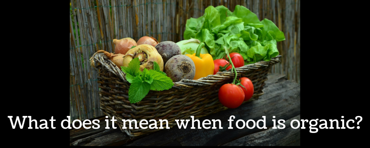 Organic Daily Multivitamin